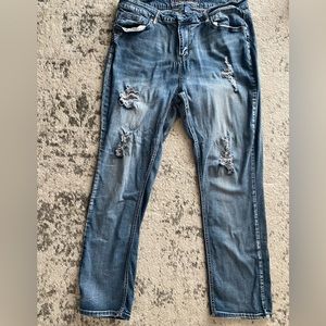 Hydraulic destroyed Lola curvy micro boot cut